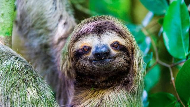 Uvita: Marino Ballena National Park Private Hike & Wildlife
