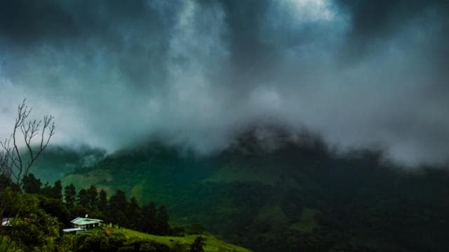 Monteverde: Half-Day Bird Watching Tour