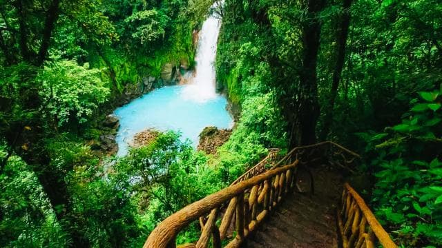 Río Celeste National Park Hike