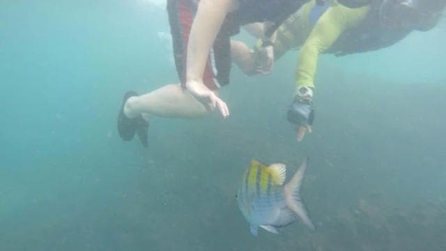 Manuel Antonio: Eco Maritime Adventure