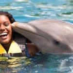 Dolphin Encounter for Dominican Residents