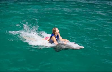 Punta Cana: Dolphin Explorer Swims and Interactions