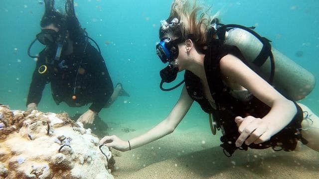 San Juan: Beginner Scuba Diving Tour with Turtles and Videos