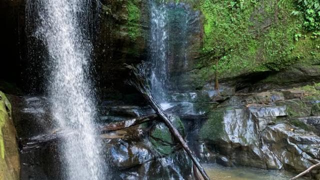 Puerto Viejo or Cahuita: Bribri Hidden Waterfalls Excursion with Lunch
