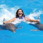 Punta Cana: Dolphin Discovery Swims and Encounters - Dominican Republic