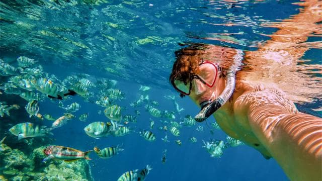 Catalina Island Tour with Snorkelling and Lunch