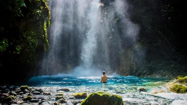 Spa or Jaguar Luxury Rainforest Experiences with Lunch