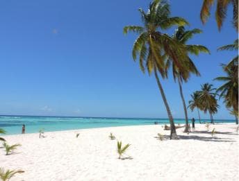 Isla Saona Wildlife Safari: Your All-Inclusive Escape