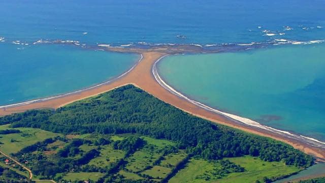 Uvita: Marino Ballena National Park Private Guided Walk Tour