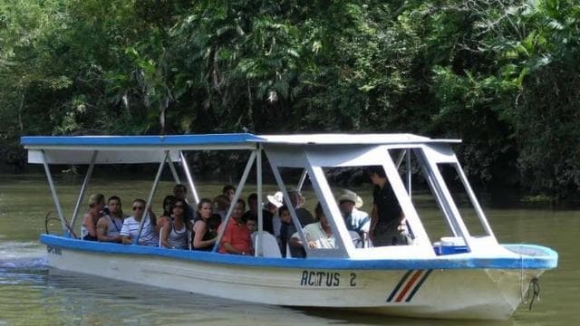 Papagayo Gulf: Palo Verde National Park Boat Tour