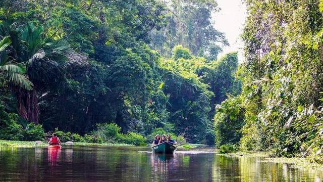 Rafting in Sarapiqui River from La Fortuna: Afternoon tour