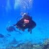 Punta Cana: Catalina Island Scuba Diving Day Trip
