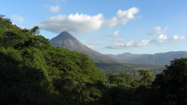 Arenal Forest: Bird Observation & Photography Tour