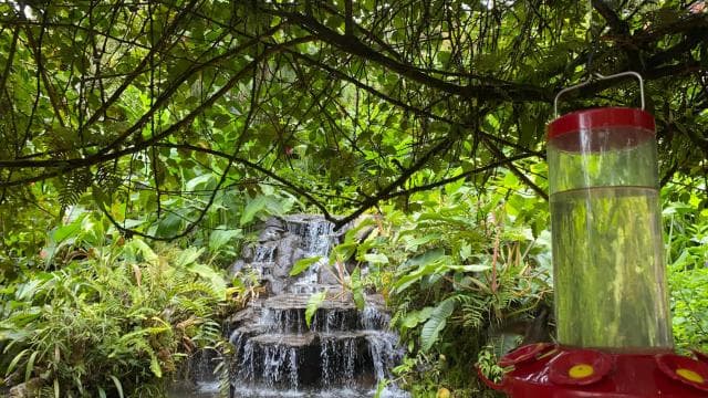 La Paz Waterfall Gardens Day Pass Ticket