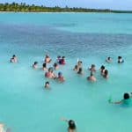 Saona Island Tour from Santo Domingo