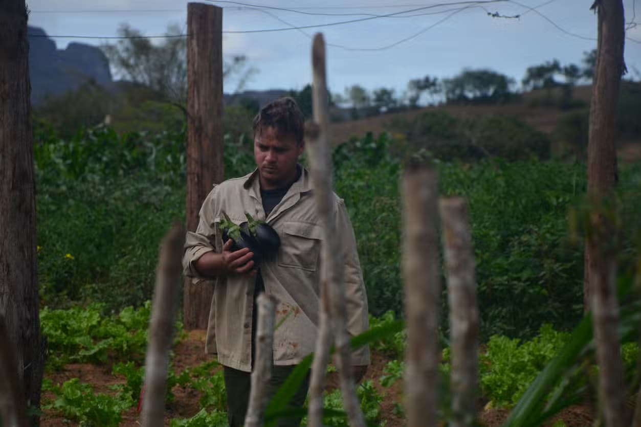 Valle de Viñales 2-Day Excursion
