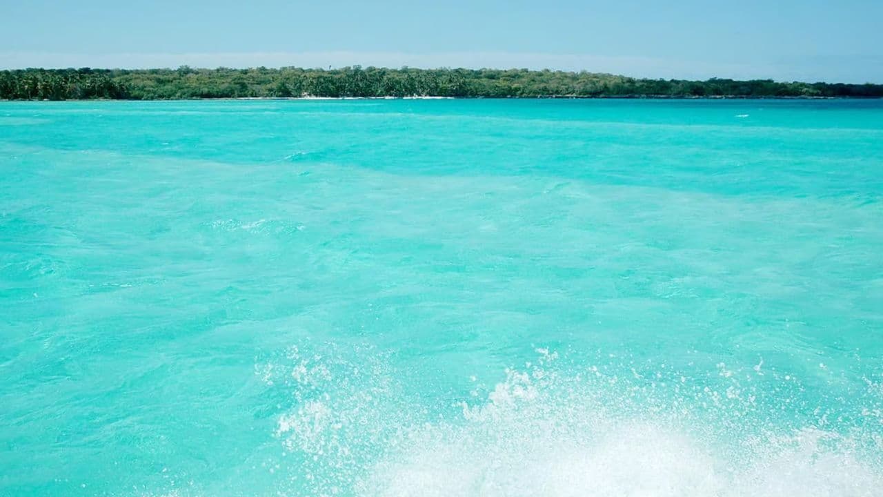 Saona premium mano Juan canto de la playa sightseeing tour