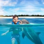 Punta Cana: Dolphin Discovery Swims and Encounters