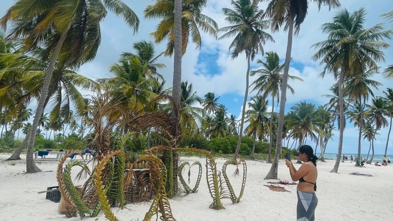 Full-Day Cruise of Isla Saona from Santo Domingo with Lunch