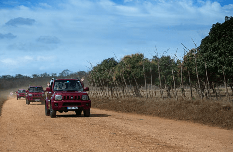 Yaguajay Jeep Safari