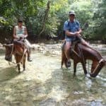 El Limón Waterfall and Bacardi Island (Cayo Levantado) Tour from Punta Cana Hotels