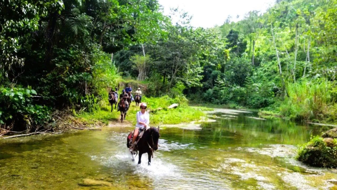 From Puerto Plata: Horseback ride along the mountain river