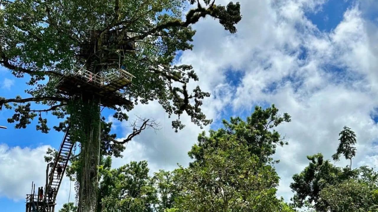 Sabana de la Mar: Los Haitises ATV Ride, Boat & Kayaking, Hiking Experience