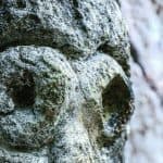 From Samana: Los Haitises Boat and Walking Tour with Lunch