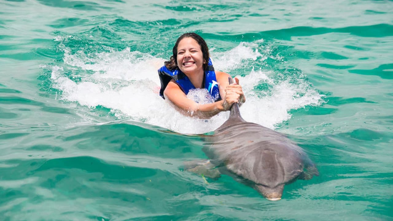 Dolphin Swim in Punta Cana – Best 60-min Dolphin Discovery