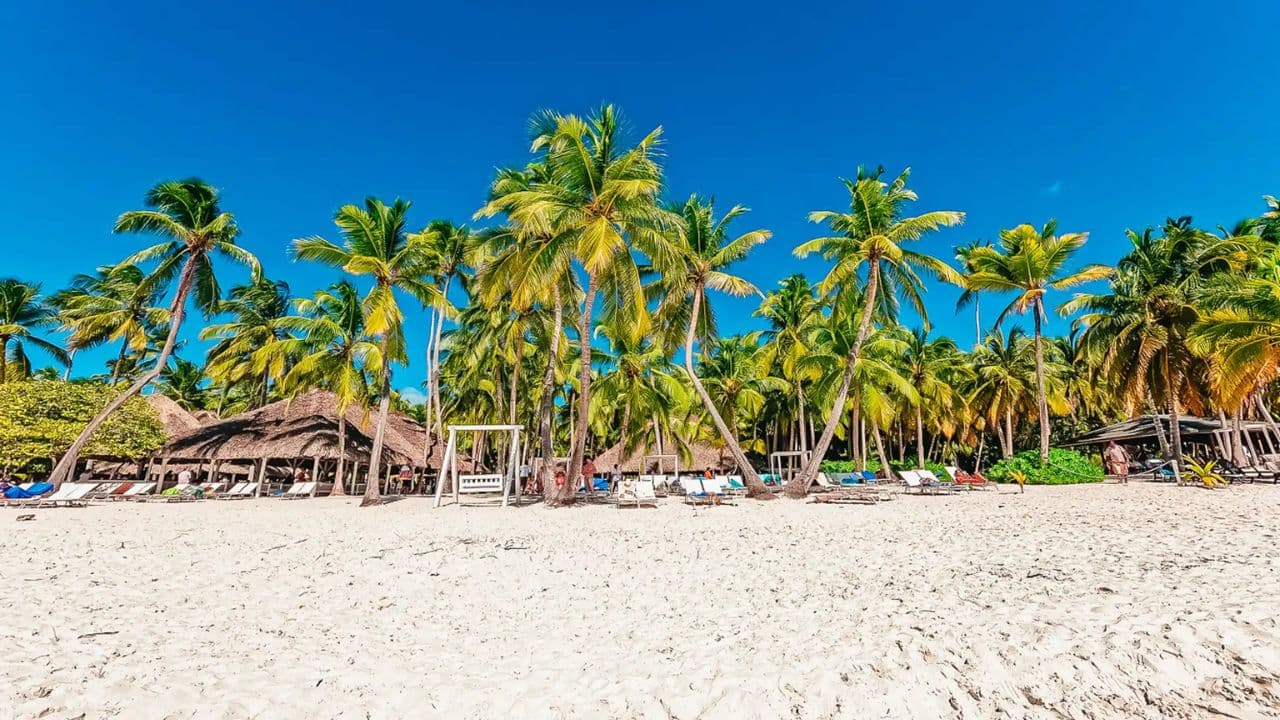 Saona Island Full-Day with Pickup in your Hotel Punta Cana