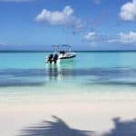 Saona Island Full-Day Tour with Lunch from Punta Cana