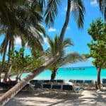 Saona Island Full Day For Small Group Catamaran VIP