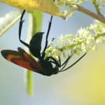 Hike + Kayak Los Haitises National Park from Boca Chica
