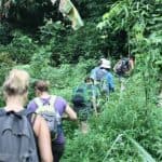 Hotel + Hiking +Swimming + Kayaking 2 Days trip Los Haitises