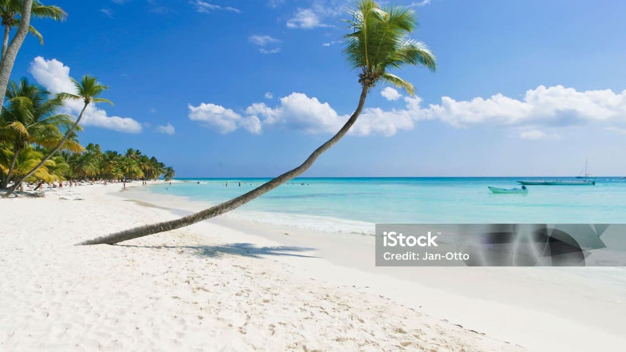 Punta Cana: Saona Island Catamaran Day Trip with Tickets and Lunch
