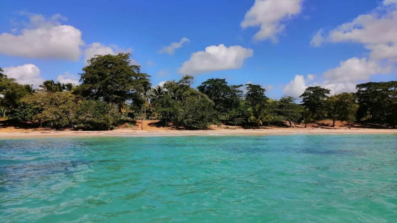 Private Boca de Yuma Day Tour