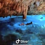 Bayahibe: Snorkeling Tour – Sea, Cotubanama park & Cenotes
