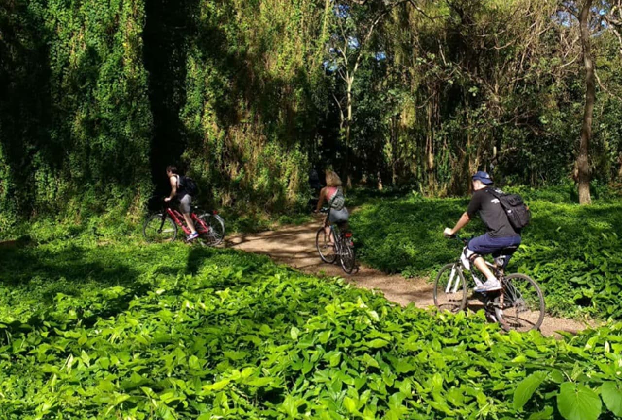 Havana Enchanted Forest Bike Tour