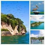 Los Haitises Tour from Las Terrenas & Bacardi Island (Cayo Levantado)