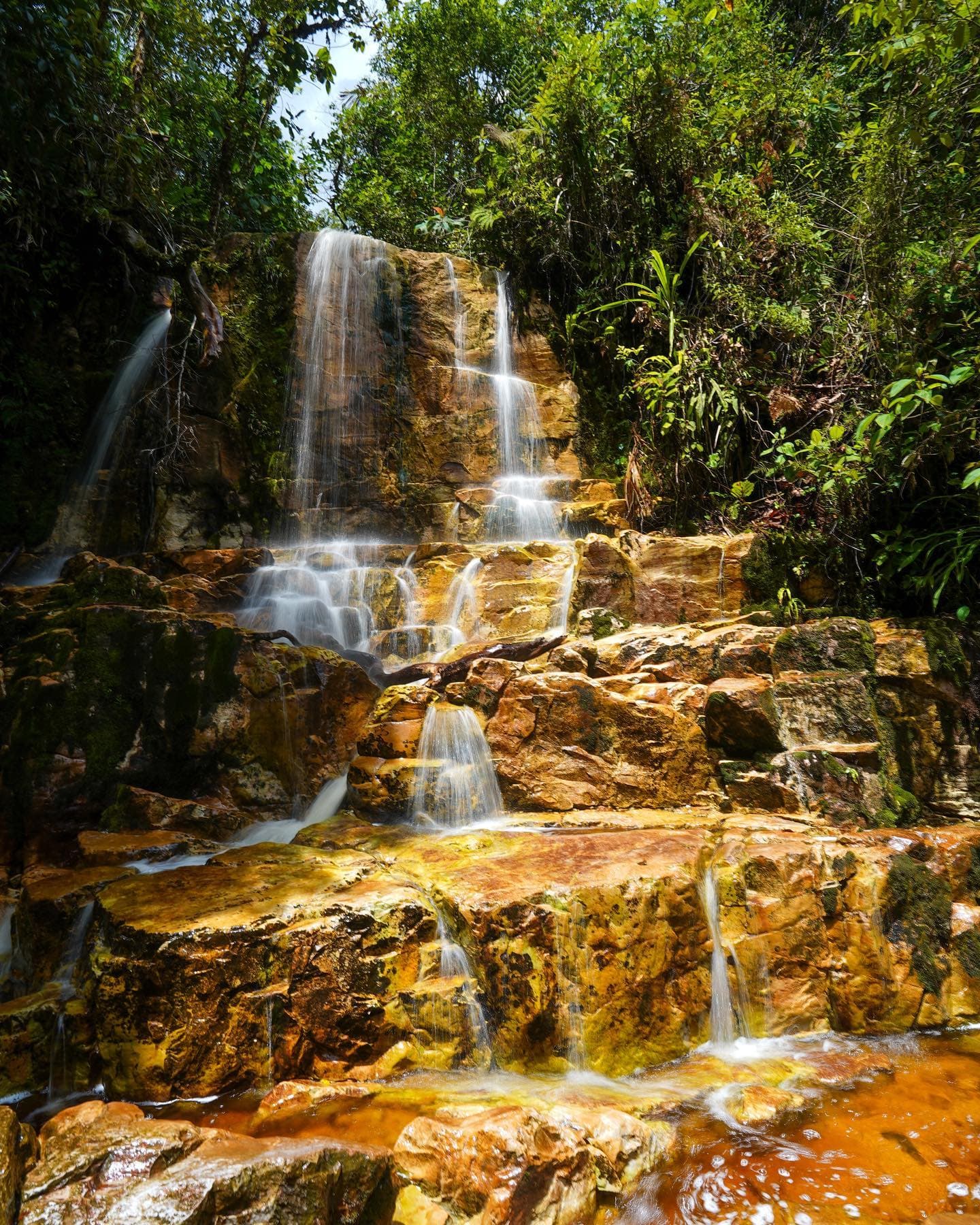 3in1: Los Haitises N. Park + Waterfalls + Montaña Redonda - Dominican Republic