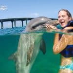 Swim with Dolphins in Punta Cana