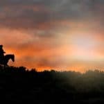 Punta Cana: Sunset Horseback Ride in Macao Beach and Forest