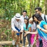 Los Haitises Boat Private trip – From Punta Cana