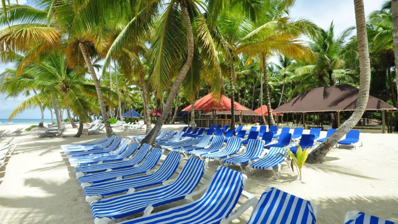 Punta Cana: Saona Island Full-Day with Buffet and Pickup