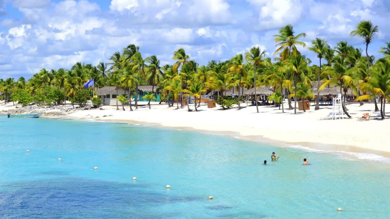 Saona Island Full-Day Tour with Lunch from Punta Cana