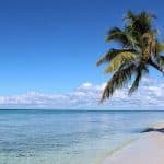 Full-Day Saona Island Tour by Speedboat