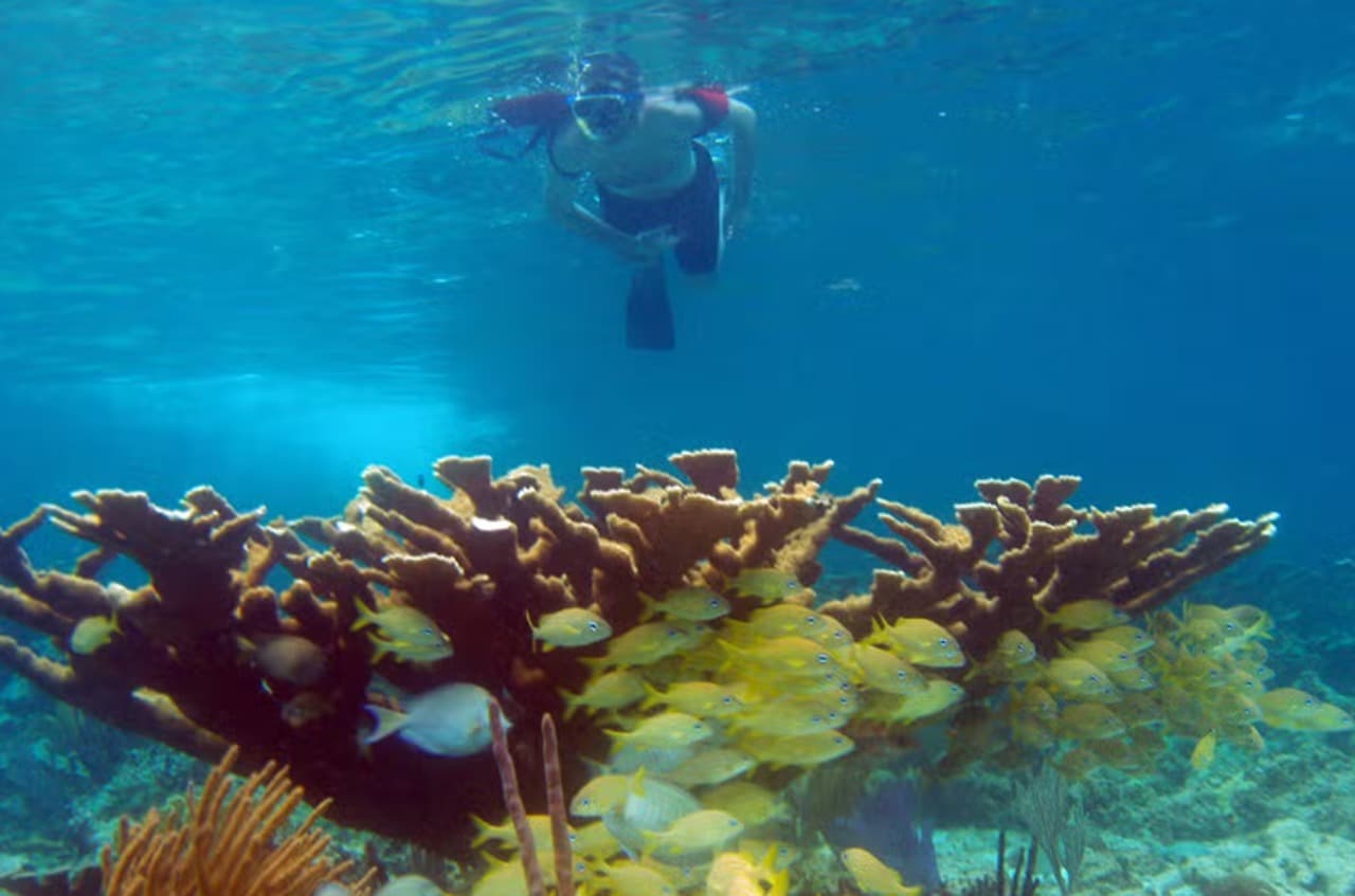 Snorkel in Santa Lucia Reef