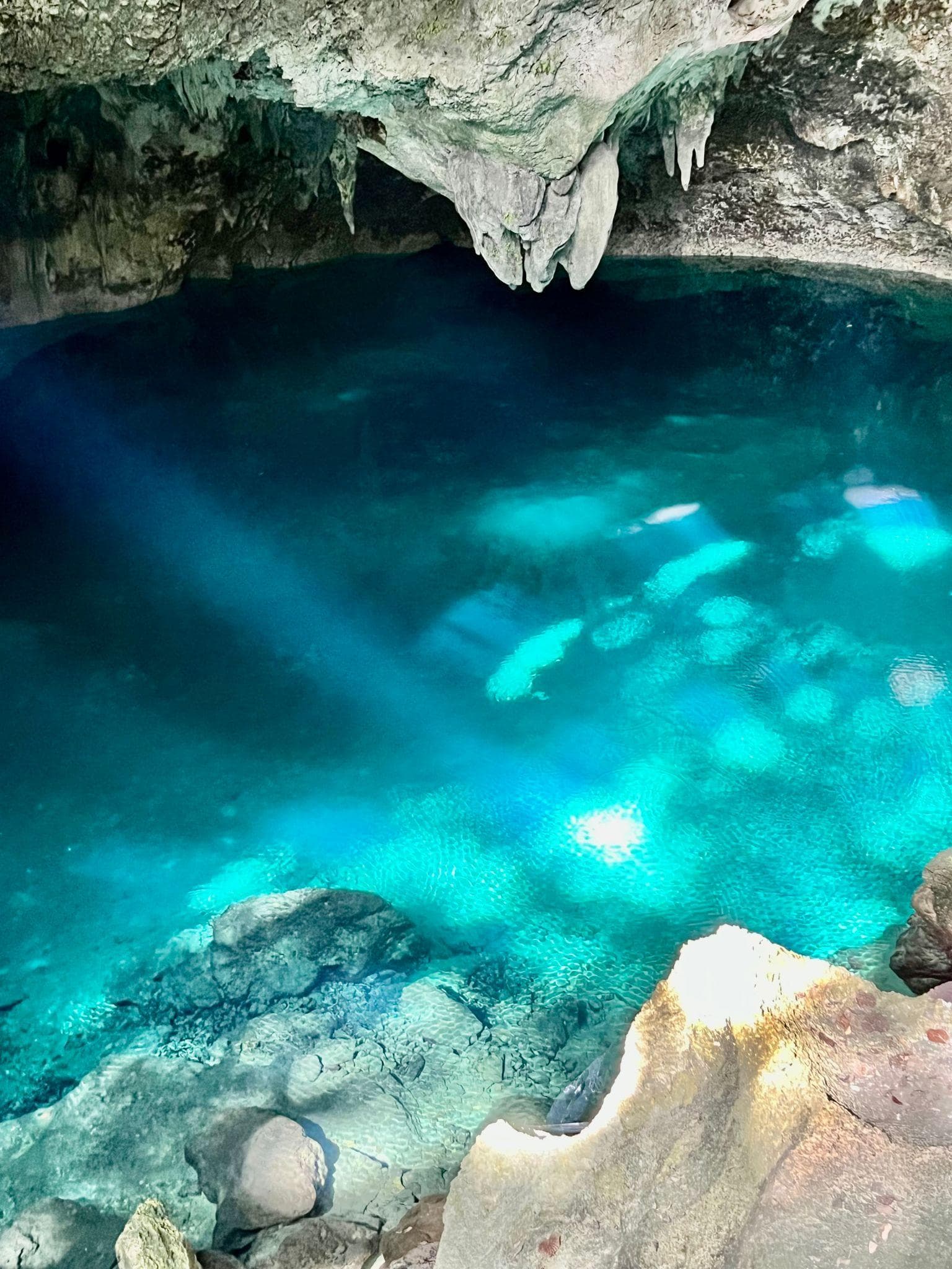 Los Tres Ojos Entrance Tour with Local Guide – Santo Domingo