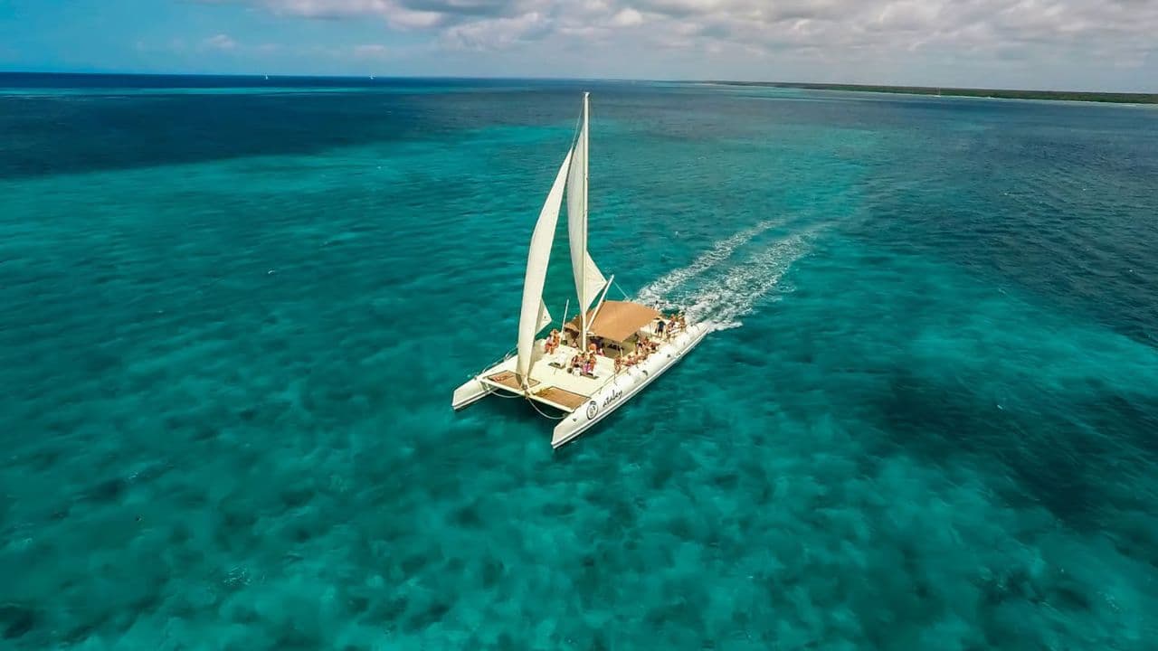 Punta Cana: Saona Island Full-Day with Buffet and Pickup