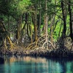 Hotel + Hiking +Swimming + Kayaking 2 Days trip Los Haitises